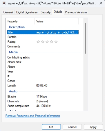 details of downloaded files from bigmp3 converter