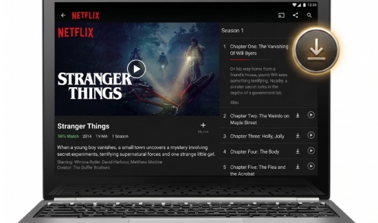 how to get netflix downloads offline on chromebook app