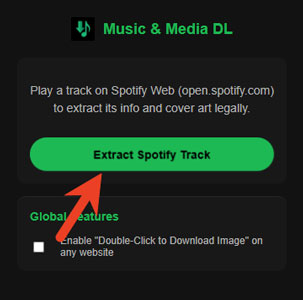 extract spotify track option in spotify downloader any website extension
