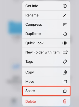 converted apple music files share on iphone to inshot