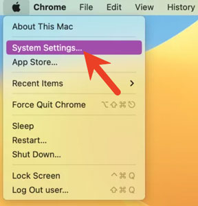 mac system settings on newer versions