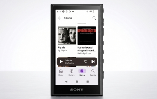 play deezer on sony walkman nw a306 mp3 player