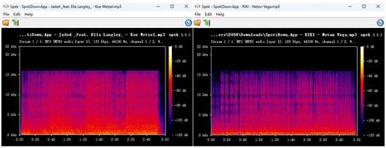 spek analysis of the mp3 file from spotidown app