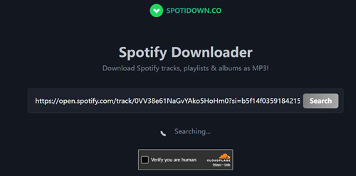 spotidown co human verify