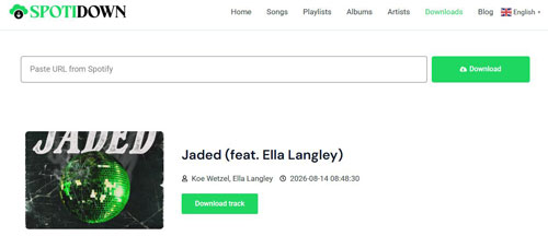 spotidown net website