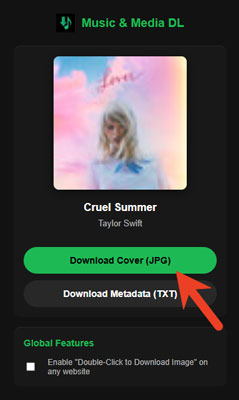 download spotify cover or metadata via spotify downloader any website