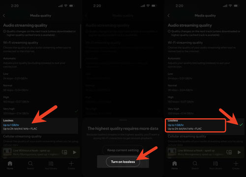 turn on spotify lossless on mobile