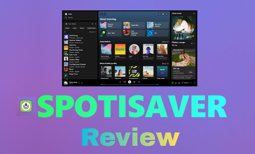spotisaver review