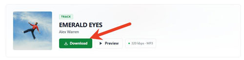 download spotify track via spotsaver