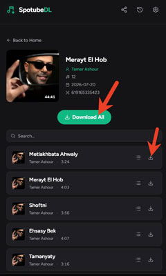 batch download on spotubedl