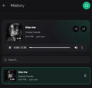 history on spotubedl