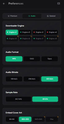 set output parameters on spotubedl