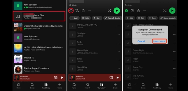 sync converted audible books to spotify on phone